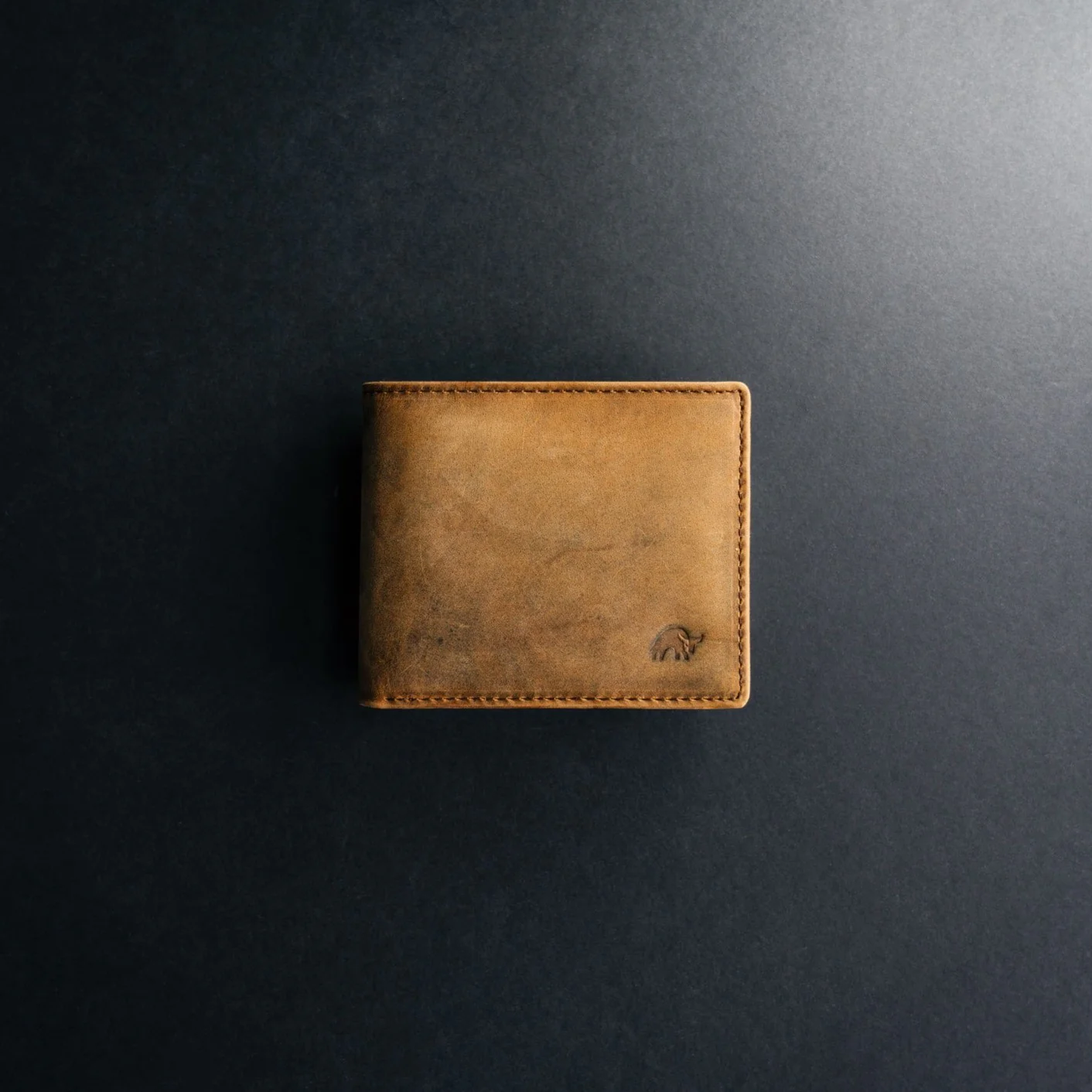 BACKORDER Bifold Wallet - Terra - Image 12
