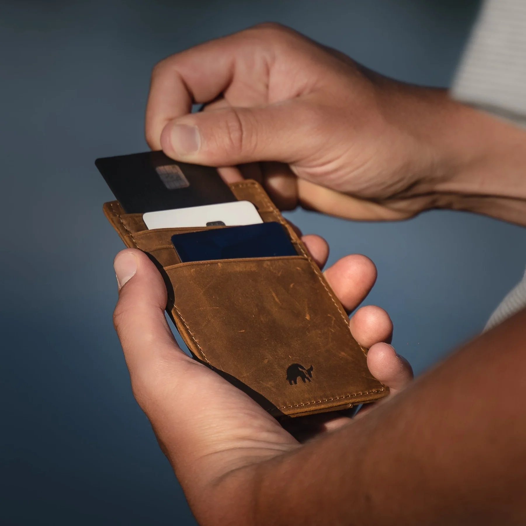 The Money Clip - Terra - Image 15