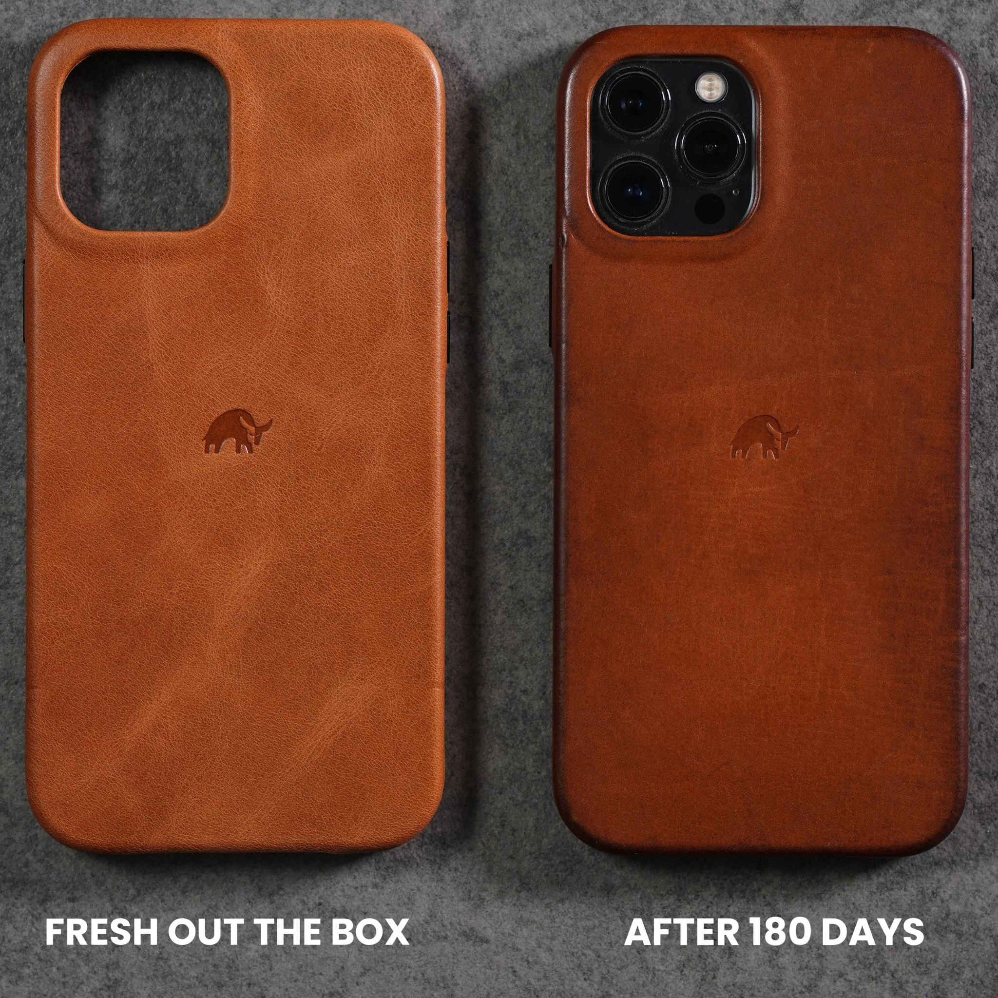 SALE Classic iPhone Cases - Sienna - Image 4