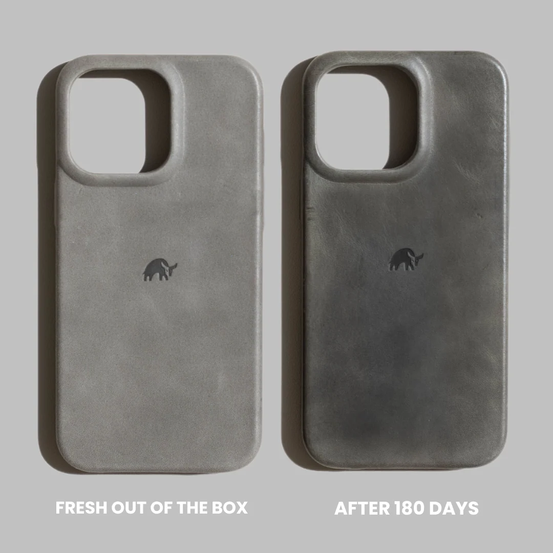 The Minimalist Case | SLATE - Image 23