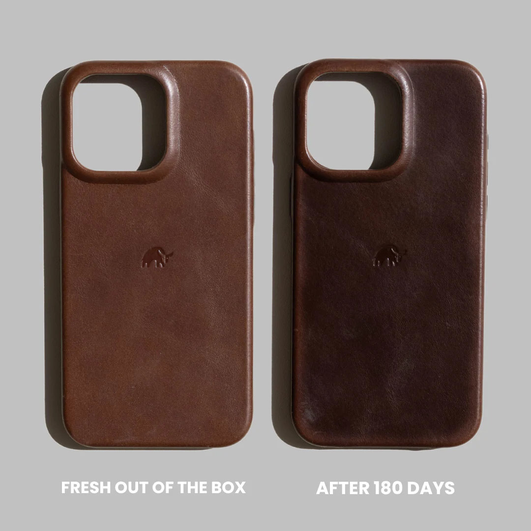 The Minimalist Case - TERRA - Image 26