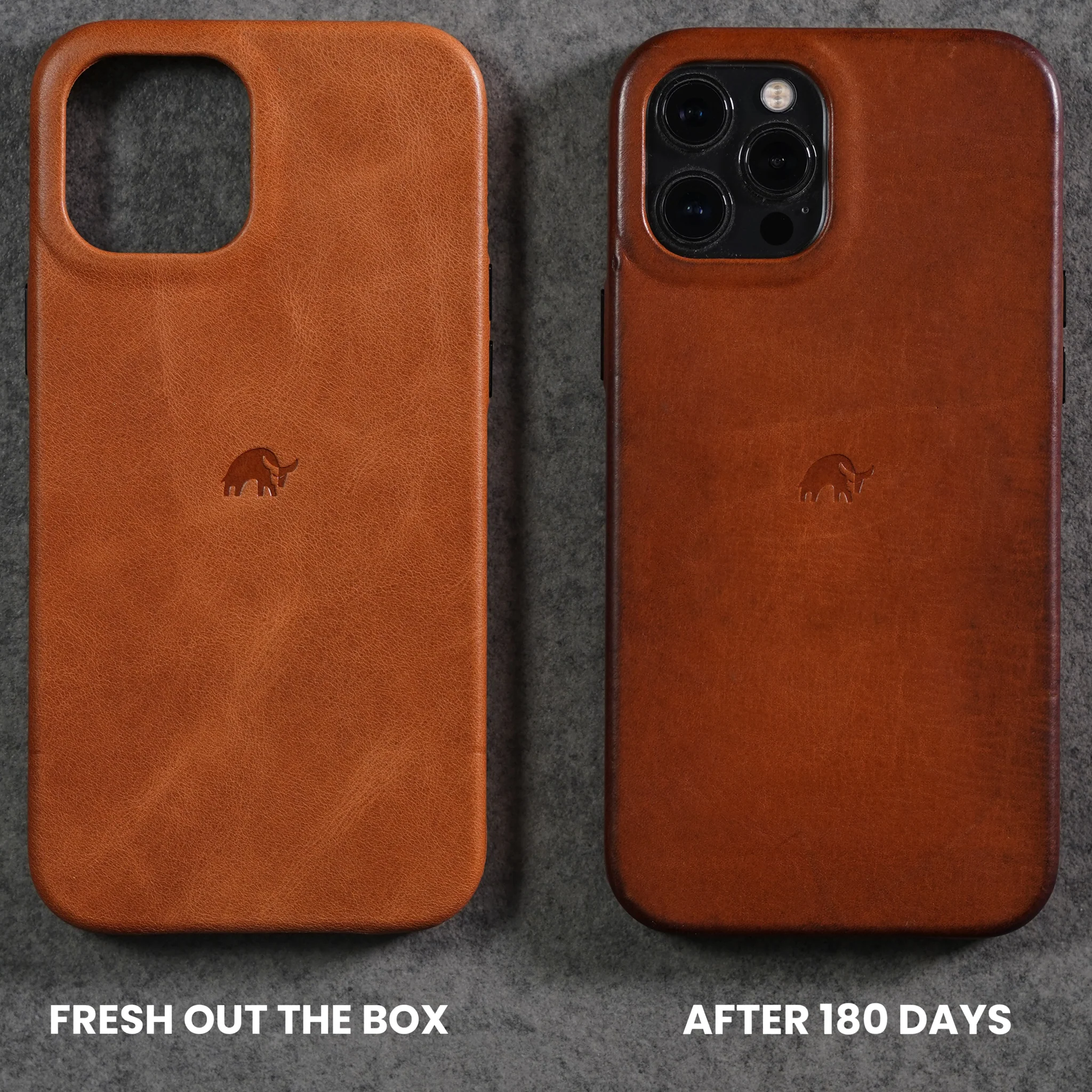 The Minimalist Case - SIENNA - Image 16