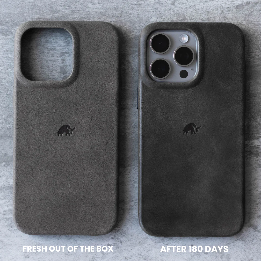 The Minimalist Case | SLATE - Image 16