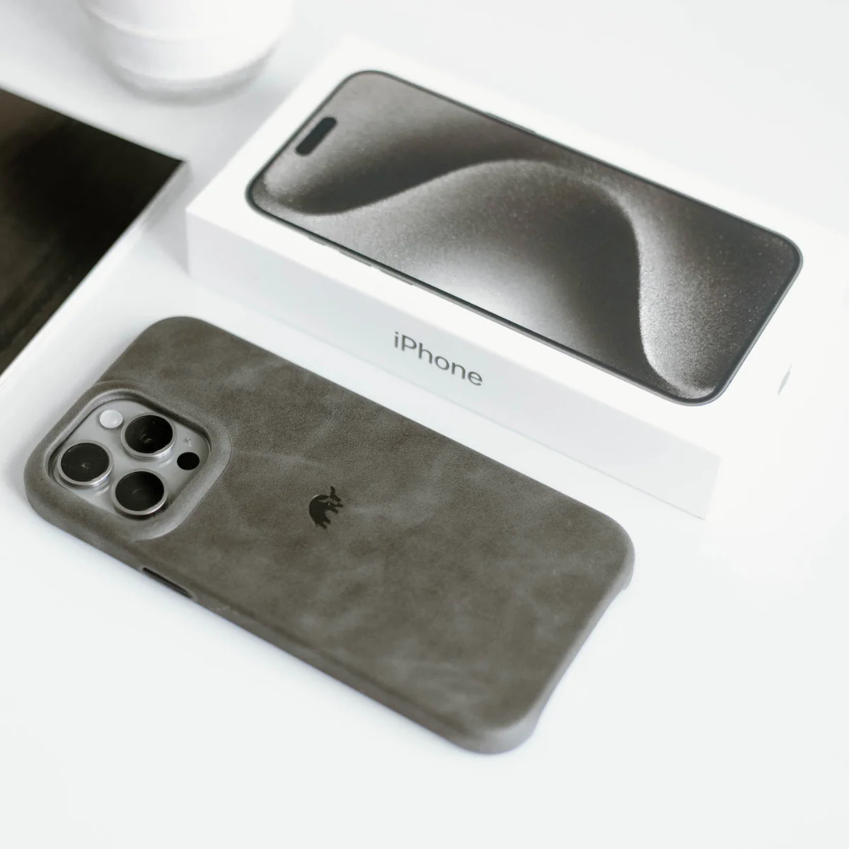 The Minimalist Case | SLATE - Image 22