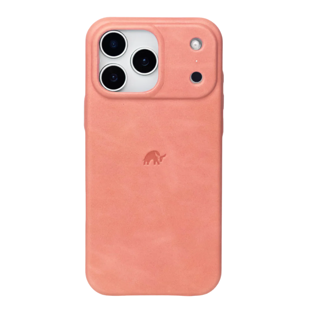The Minimalist Case | SOUTH BEACH